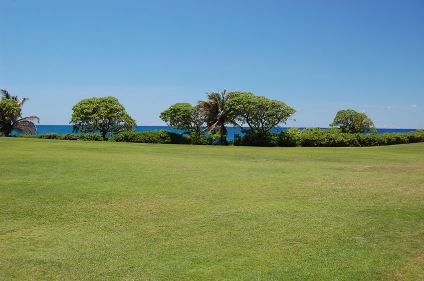 Turtle Bay Resport Grounds
