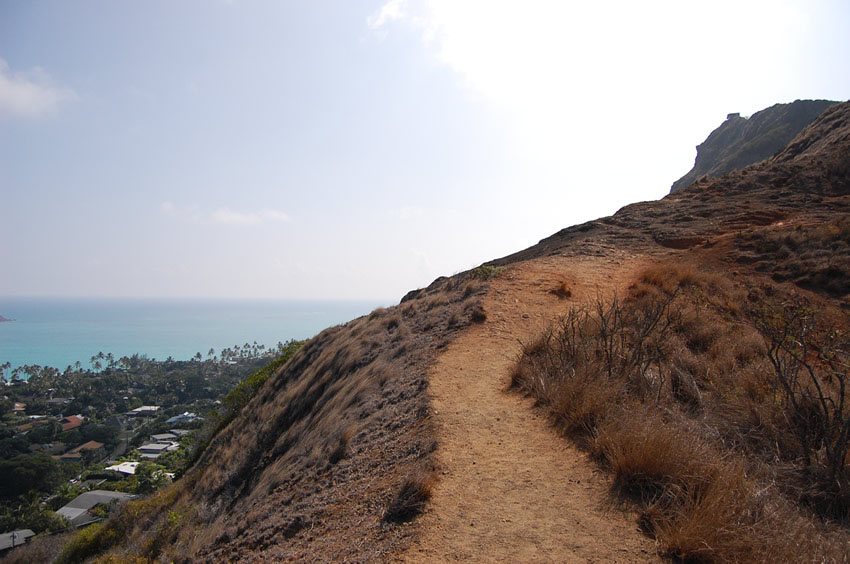 Scenic View from Trail