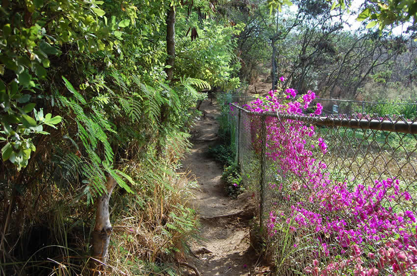 Start of Trail 1