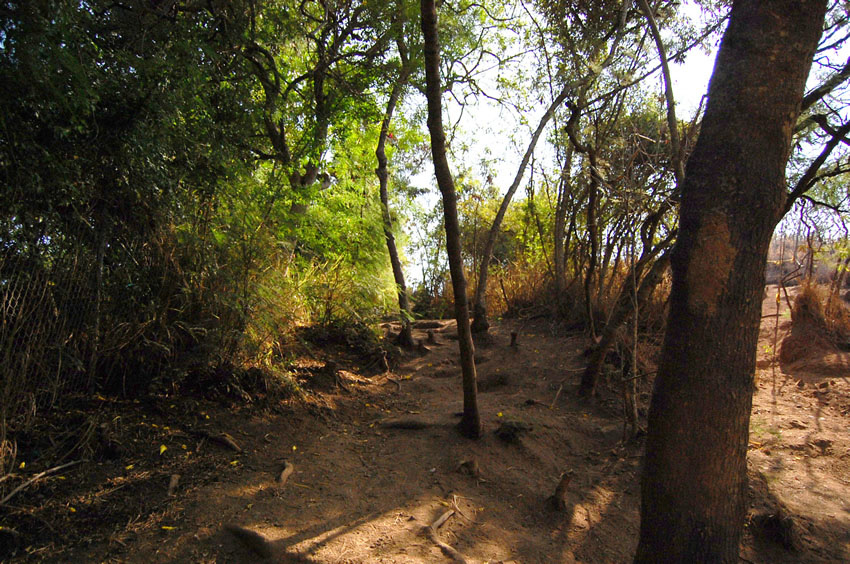 Start of Trail 2