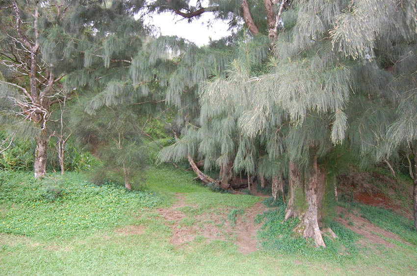 Park Area