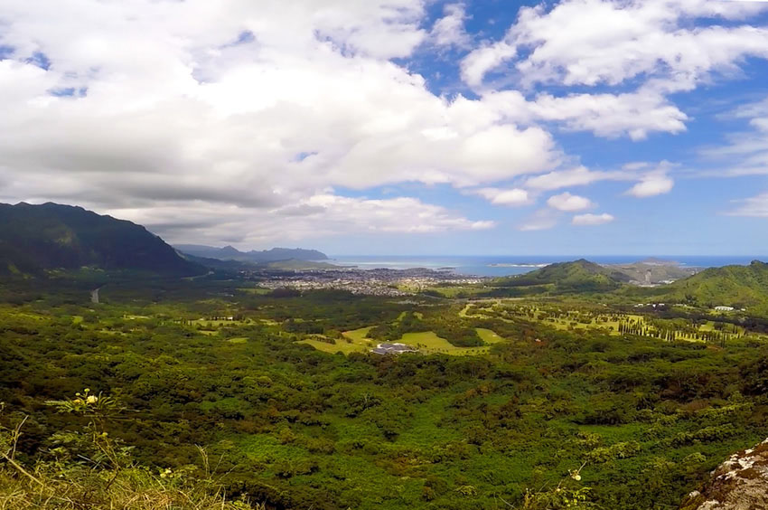 Scenic Lookout
