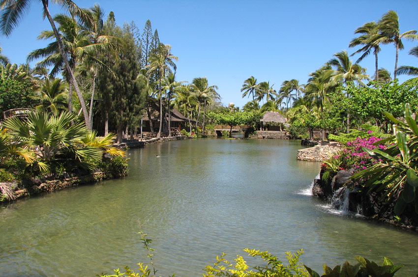 Tropical Setting