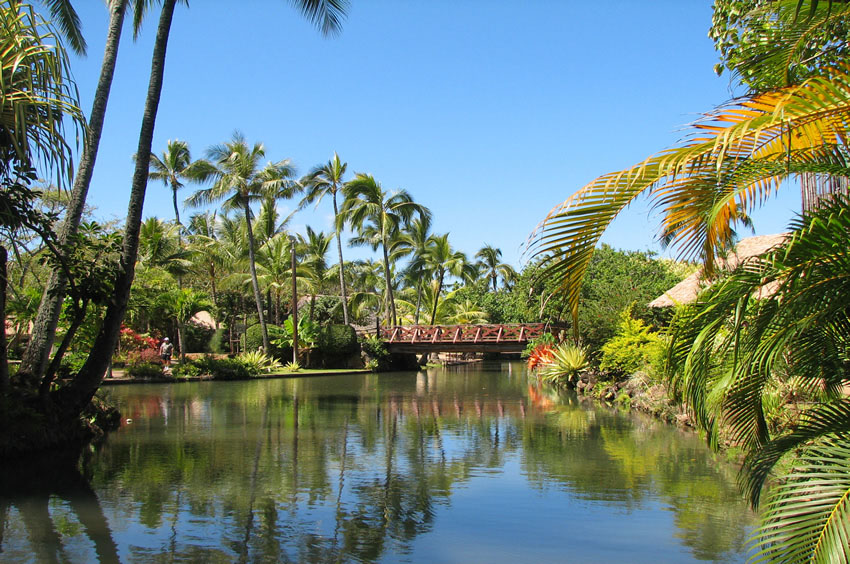 Tropical Setting 2