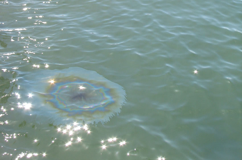 Oil Leaking from Sunken Vessel
