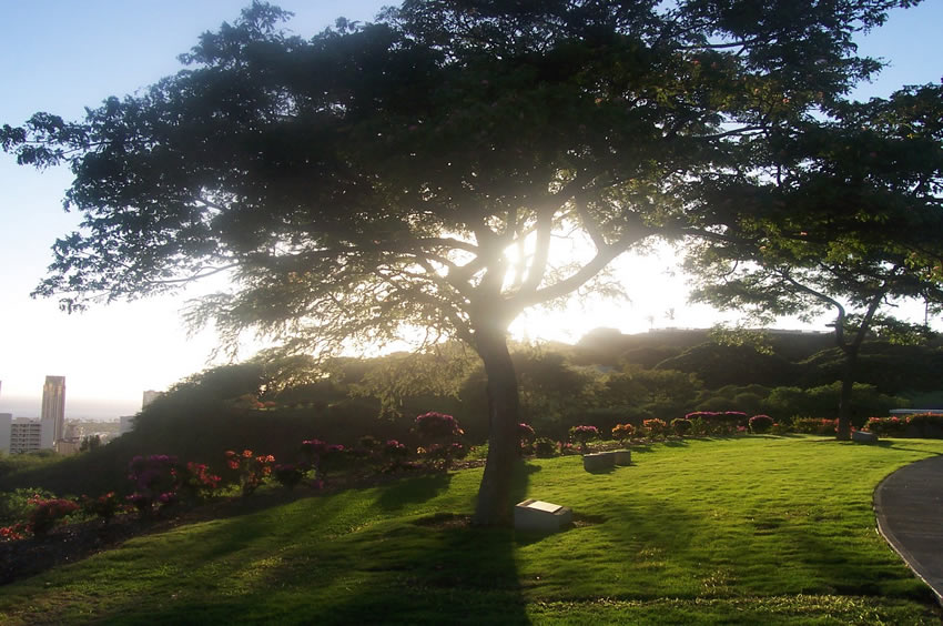 Before Sunset