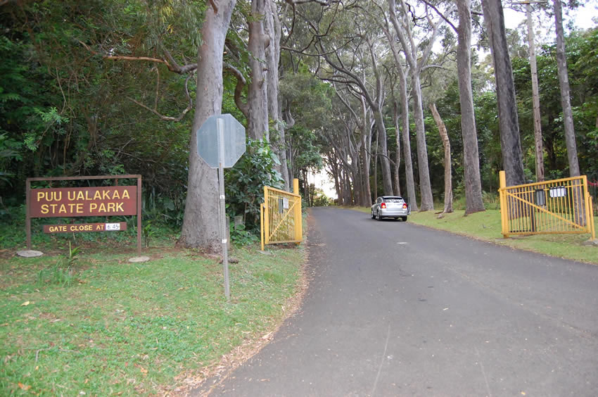 Entrance