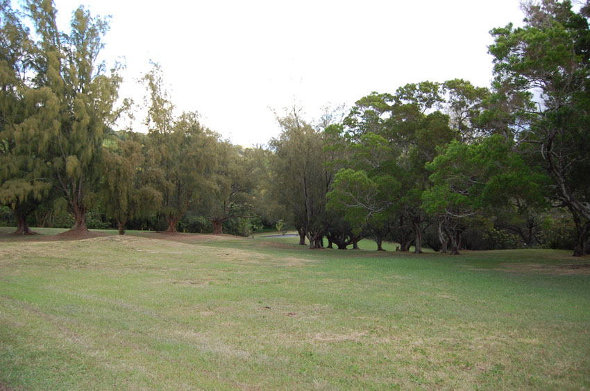Park Forest
