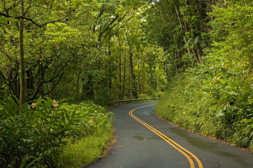 Round Top Drive 3