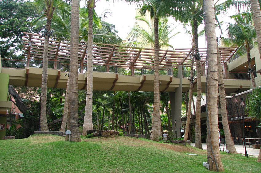 View from the Street