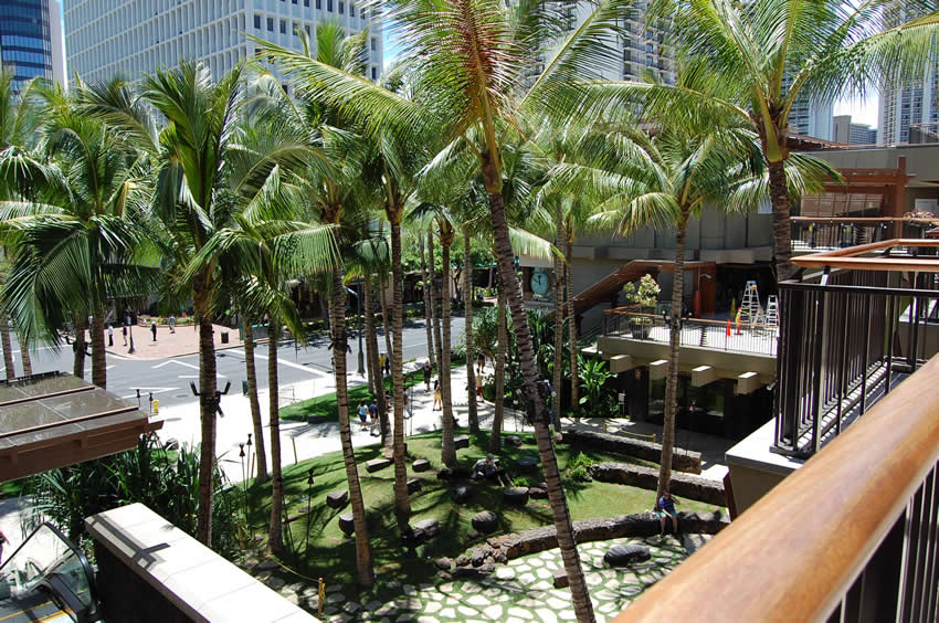 Waikiki View from Level2