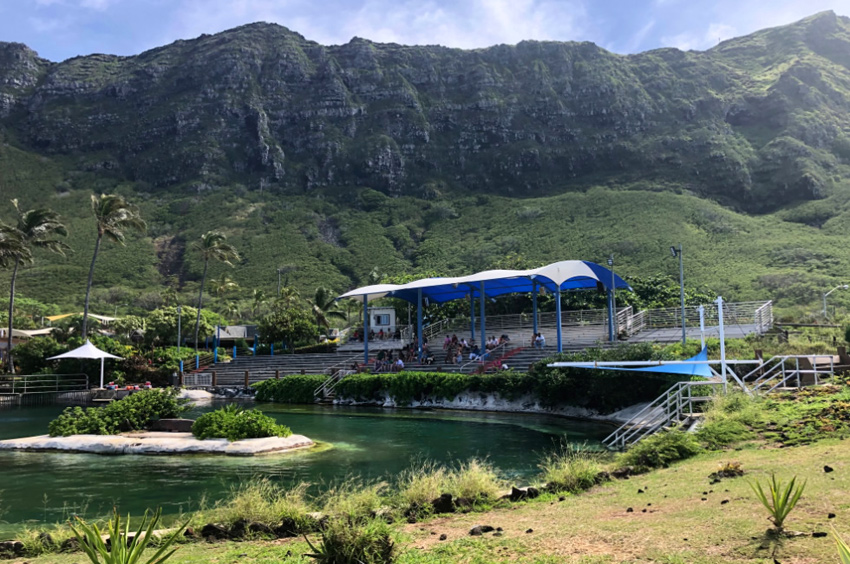 Sea Life Park