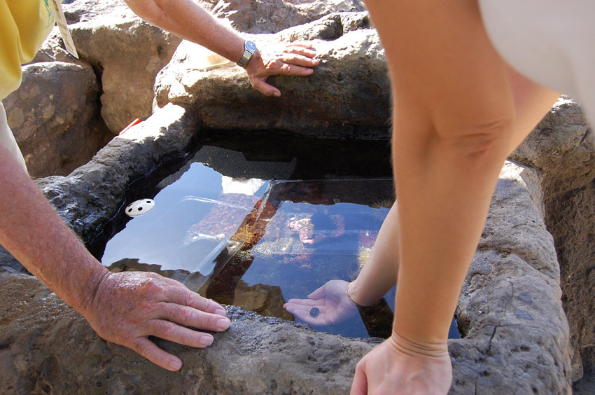 Holding a Crab