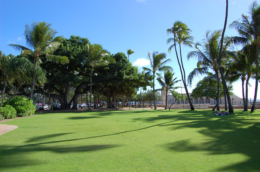 Tropical Garden
