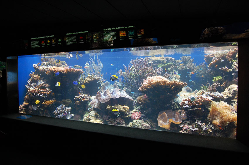 Waikiki Aquarium