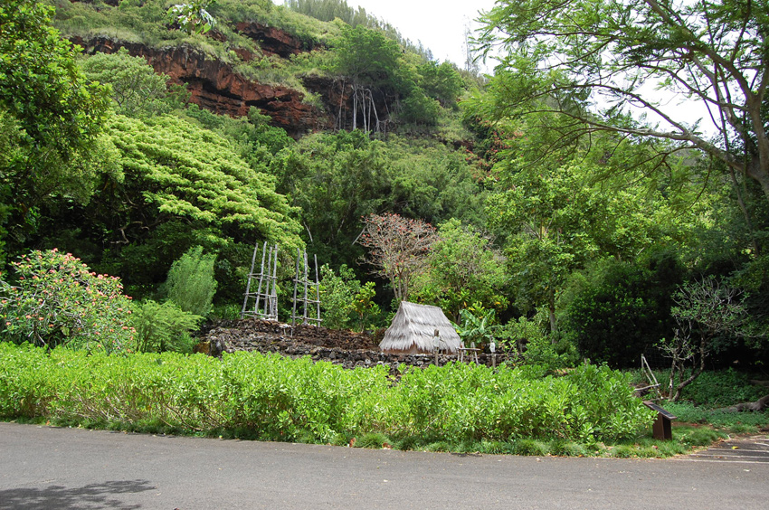 Hale O Lono Heiau