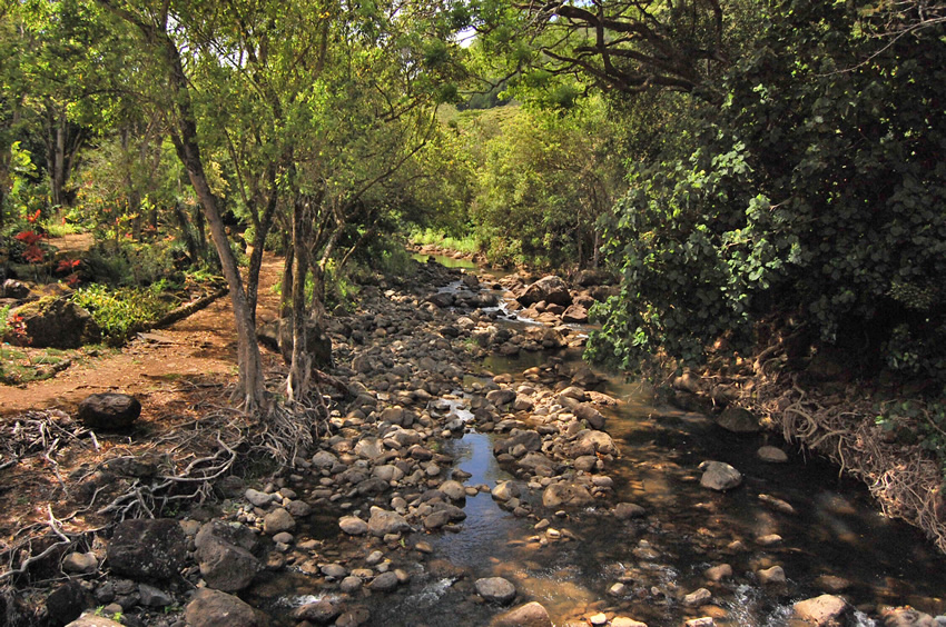 Kamananui Streams