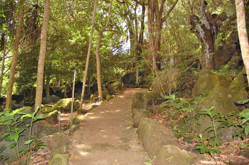 Scenic Trail