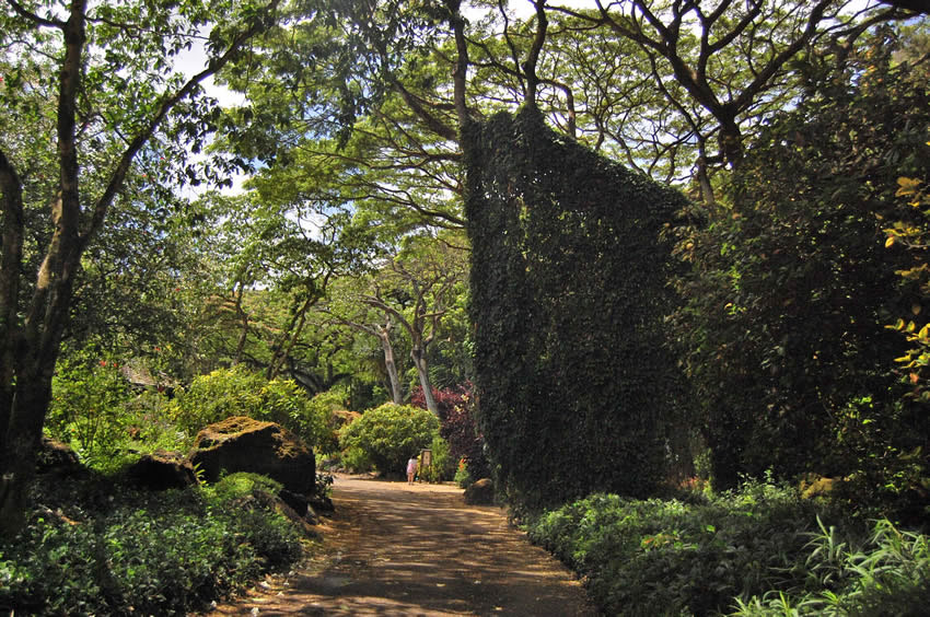 Scenic Trail 2