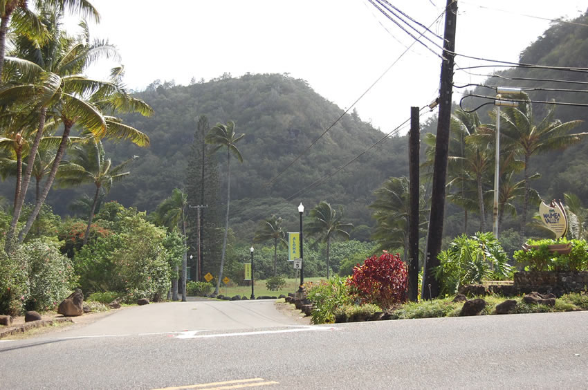 Waimea Valley