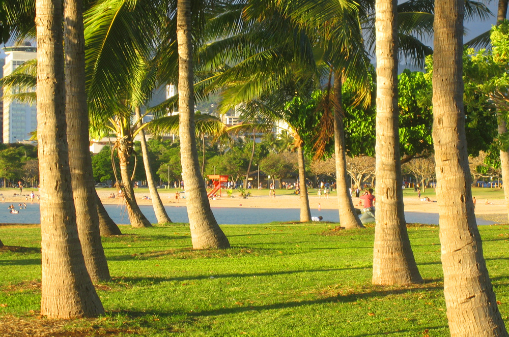 Beach Park