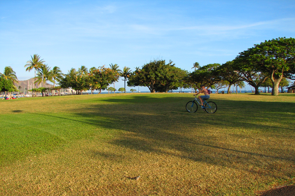 Biking in the Park