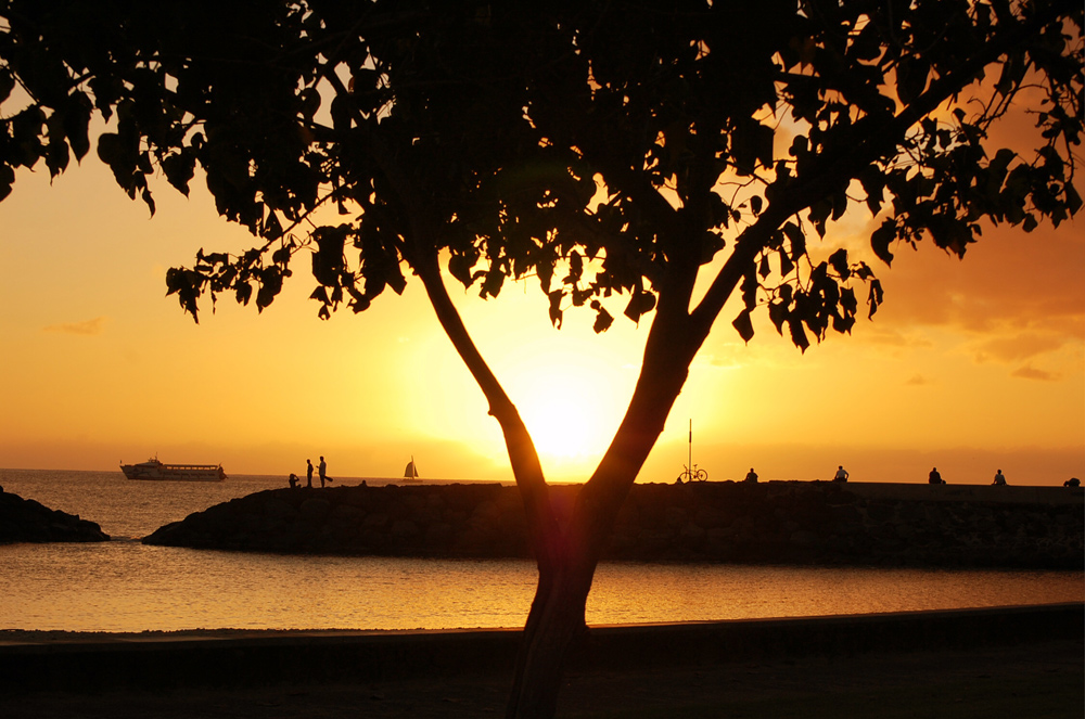 Magic Island Sunset