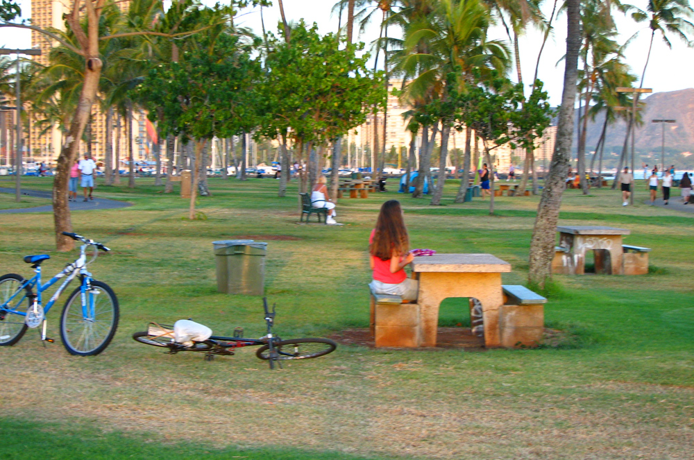 Nice Picnic Area