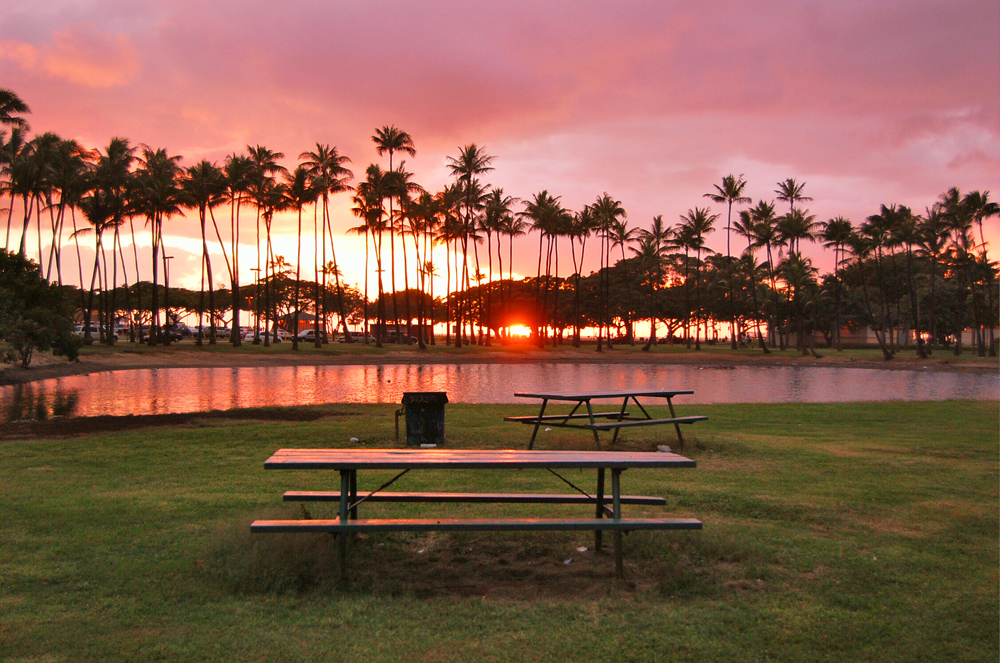 Picnic Table with View