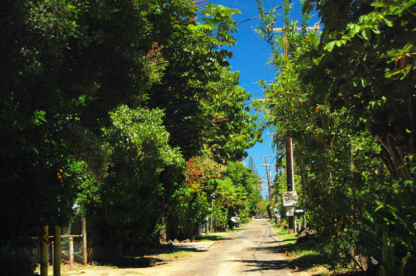 Narrow Residential Street Leads to the Small Parking
