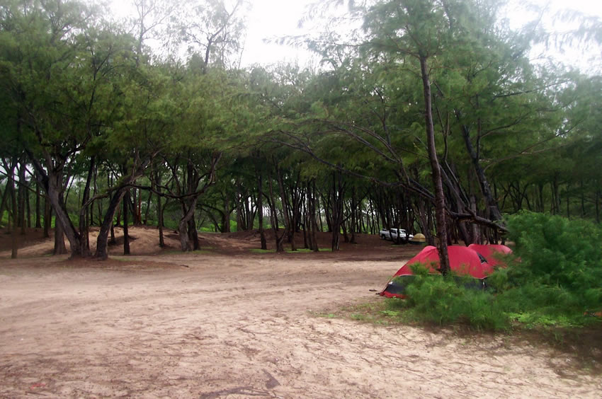 Camping at Bellows Beach