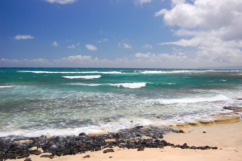 Black Lava Rocks on Shore 2