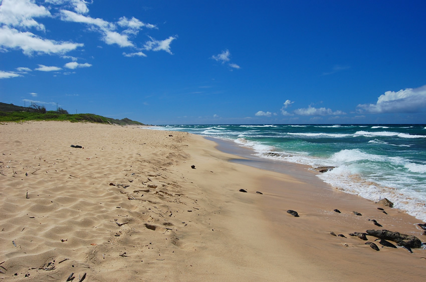 Long White Sand Beach 1