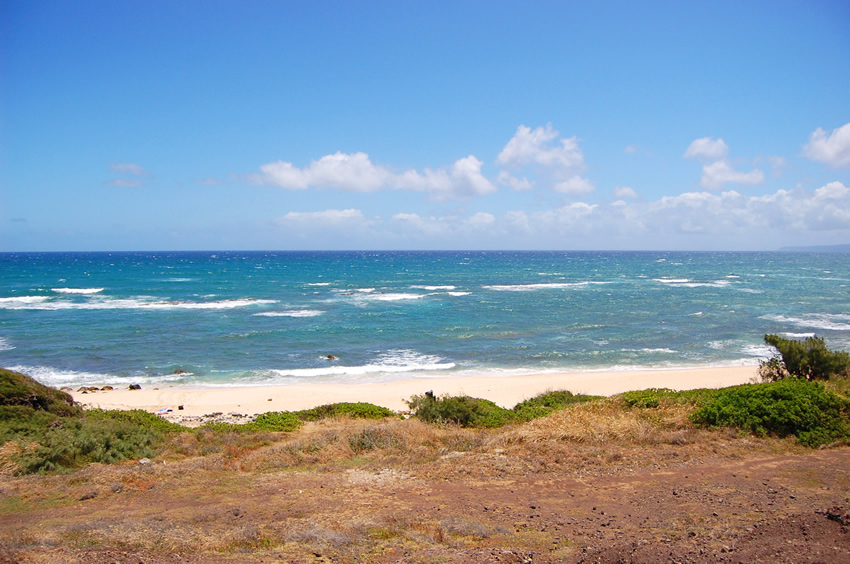 Long White Sand Beach 2