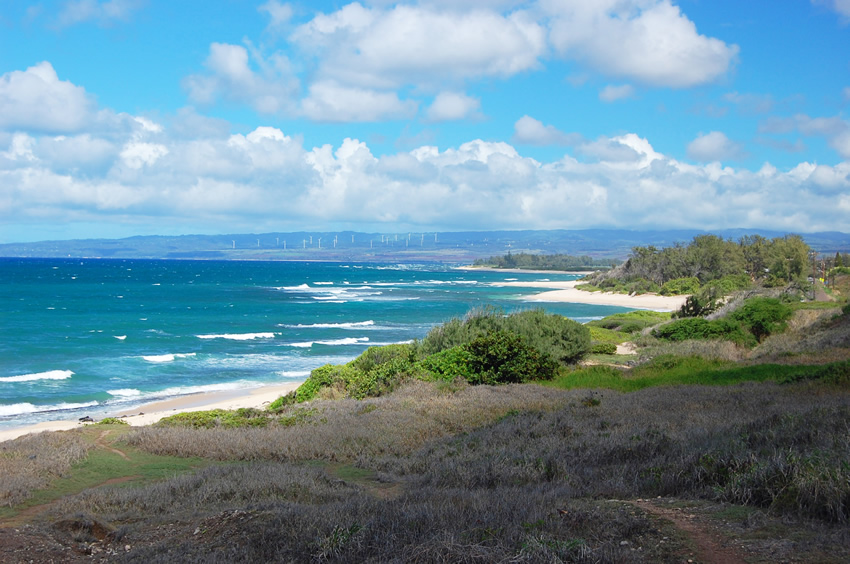 Long White Sand Beach 3