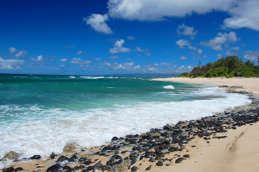 Scenic Shoreline