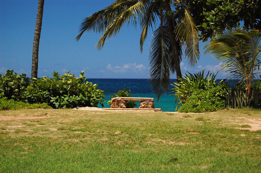 Good Spot for Picnic
