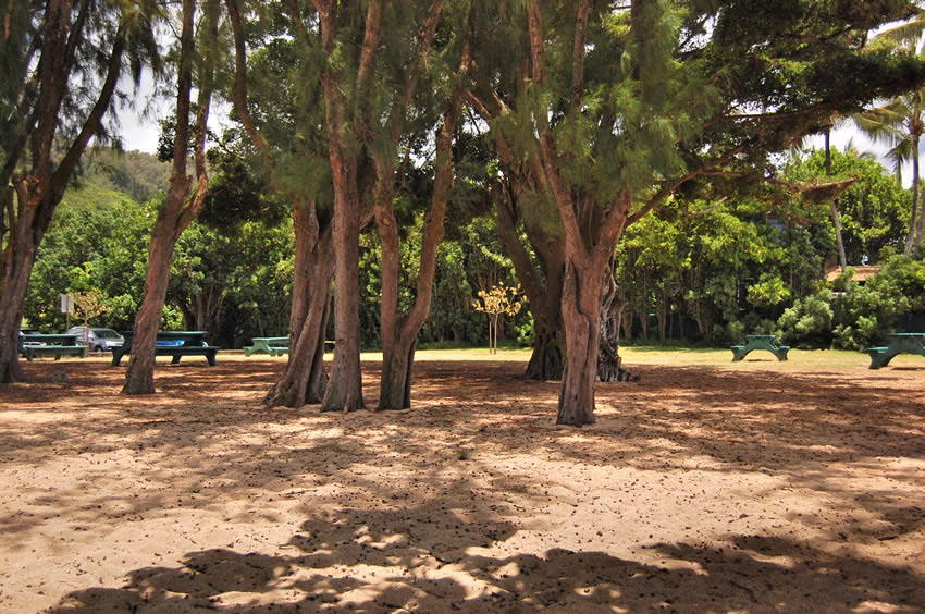 Park Area
