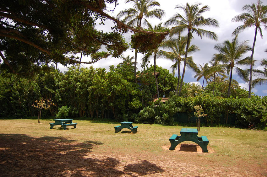 Park Area 2