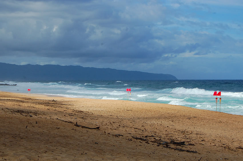 The Beach in the Winter