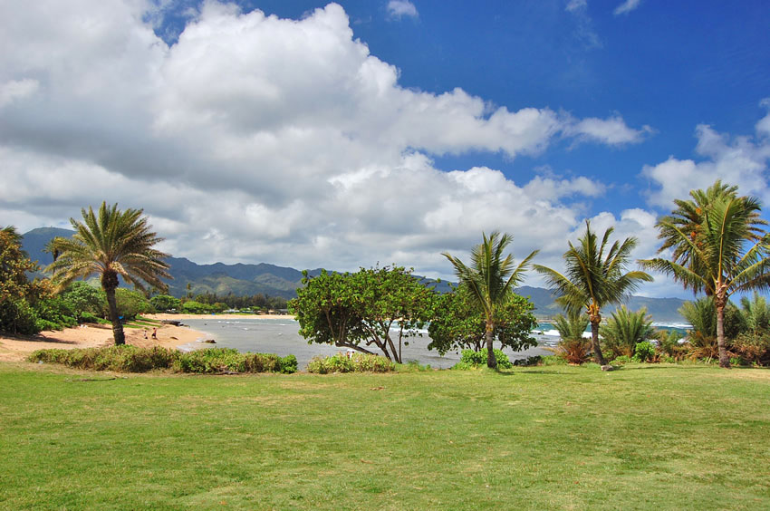 Large Beach Park