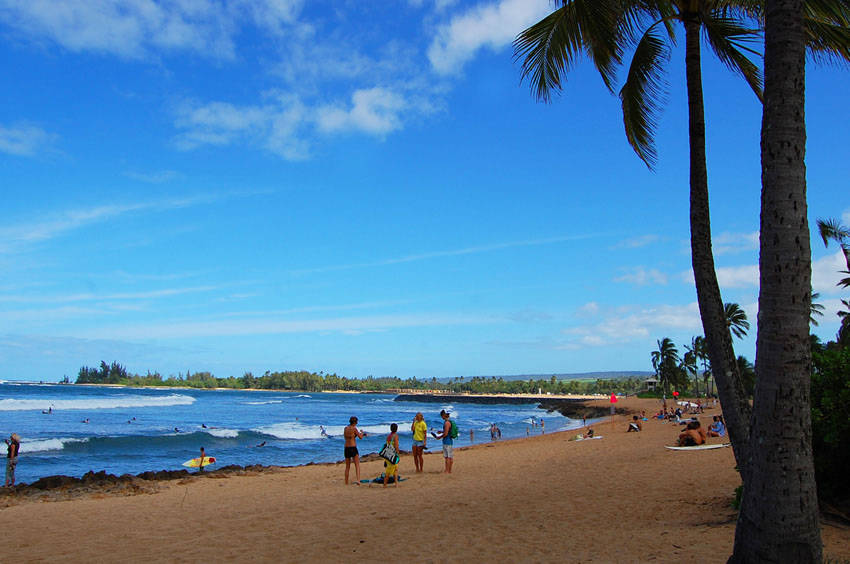 People Enjoying the Beach