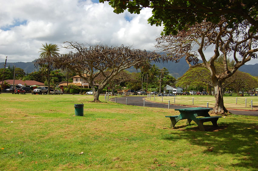 Picnic Table