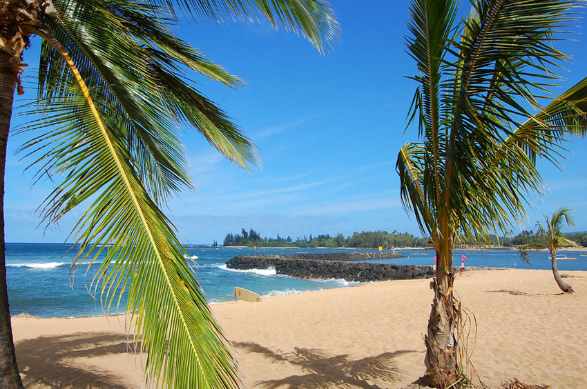 Tropical View