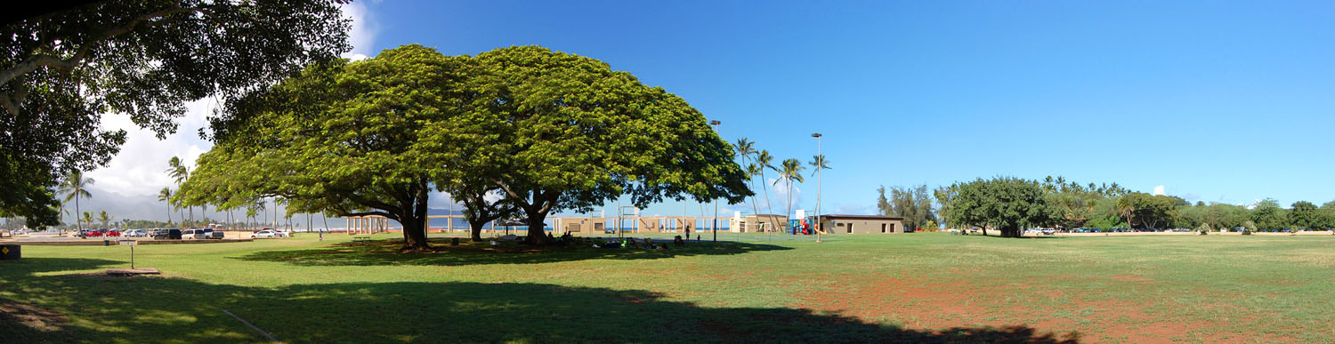 Haleiwa Beach Park P1