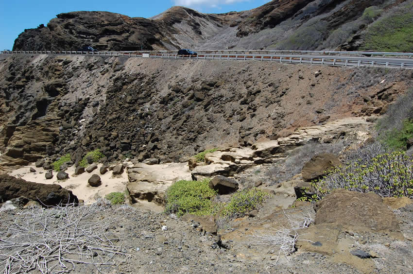 Trail to the Beach Is Steep