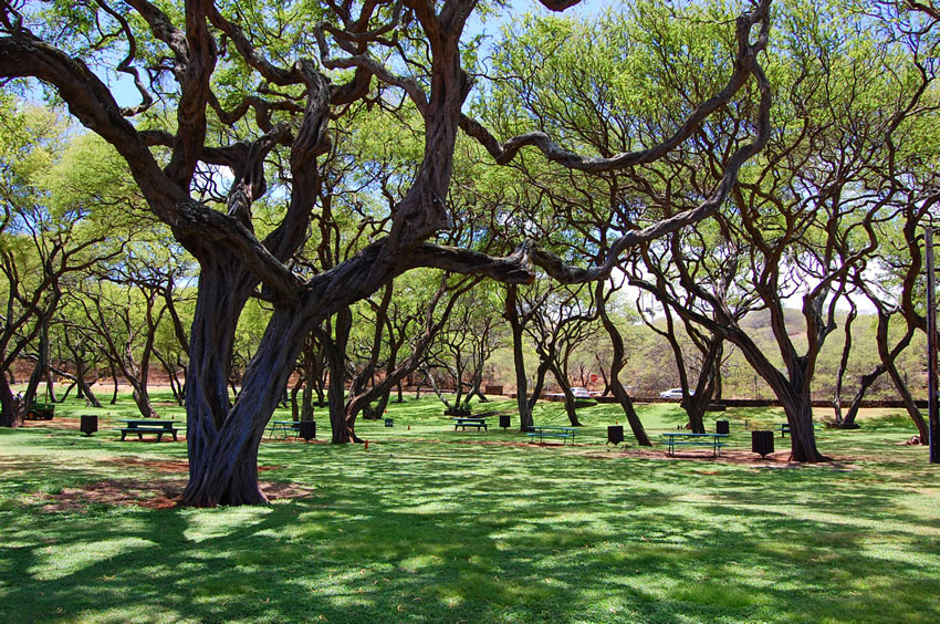 Hanauma Bay Park
