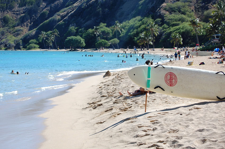 Lifeguard Board