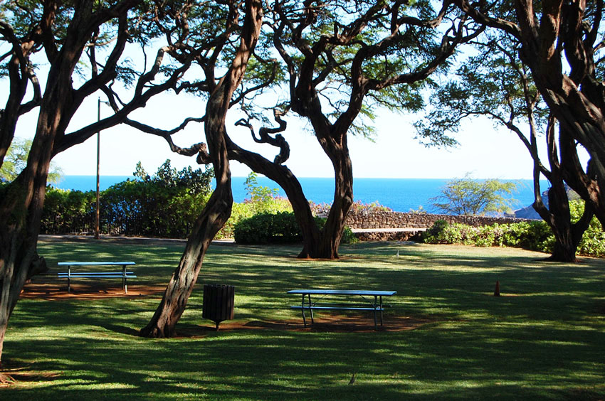 Scenic Park