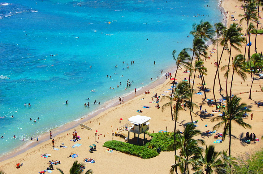 Tropical Beach